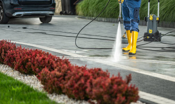 Best Pressure Washing Driveway  in Lusby, MD